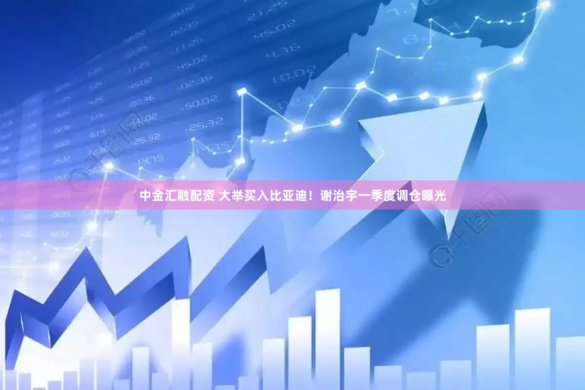中金汇融配资 大举买入比亚迪！谢治宇一季度调仓曝光