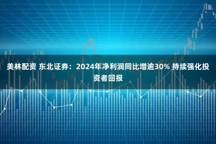美林配资 东北证券：2024年净利润同比增逾30% 持续强化投资者回报